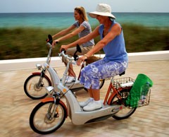 eGo Electric Scooter eGo Electric Scooter