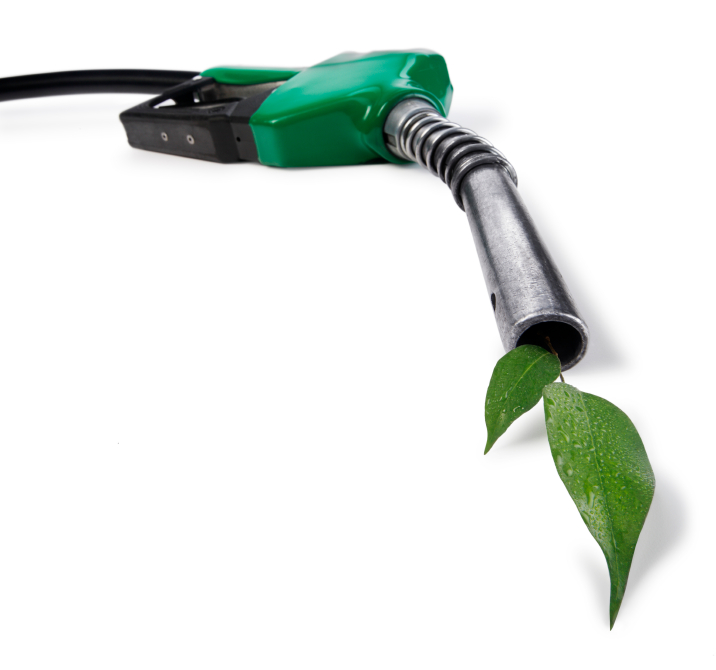 Green fuel Green Fuel