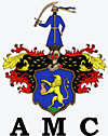 AMC Consulting